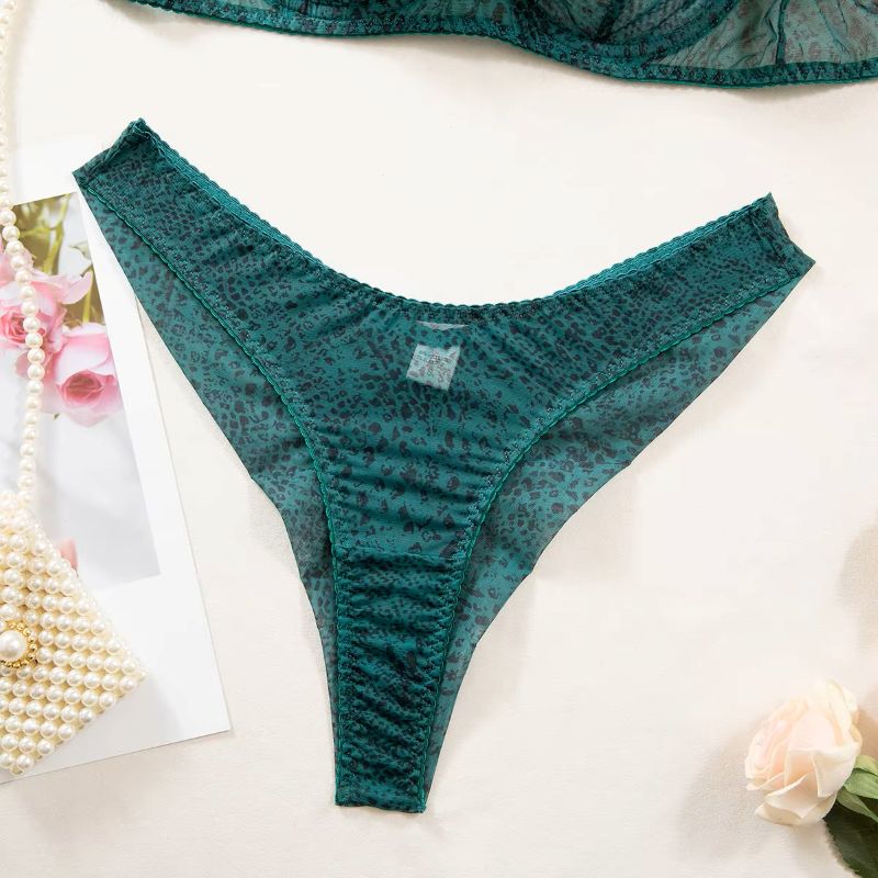 Conjunto de Lingerie Feminina  - Plunge Bra Push Up avaliação e preço